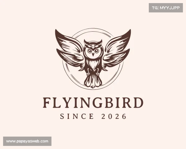 解读FlyingBird