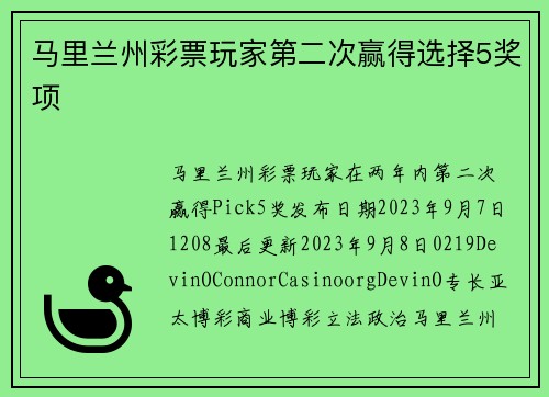 马里兰州彩票玩家第二次赢得选择5奖项